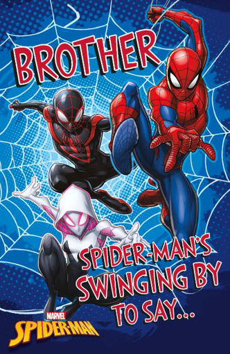 Picture of BROTHER SPIDERMAN BIRTHDAY CARD